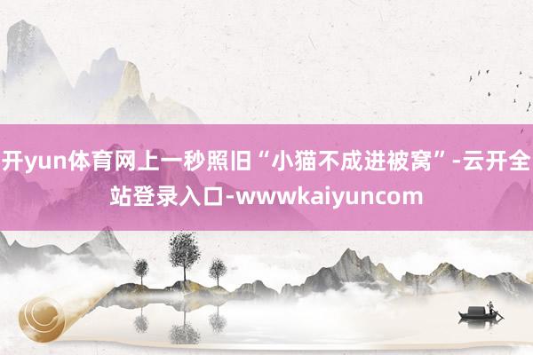 开yun体育网上一秒照旧“小猫不成进被窝”-云开全站登录入口-wwwkaiyuncom