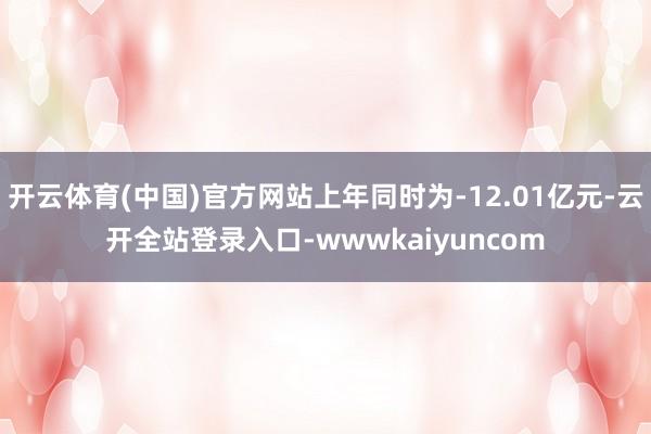 开云体育(中国)官方网站上年同时为-12.01亿元-云开全站登录入口-wwwkaiyuncom