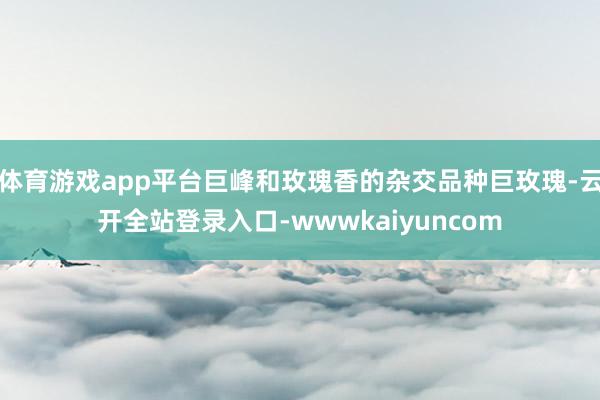 体育游戏app平台巨峰和玫瑰香的杂交品种巨玫瑰-云开全站登录入口-wwwkaiyuncom