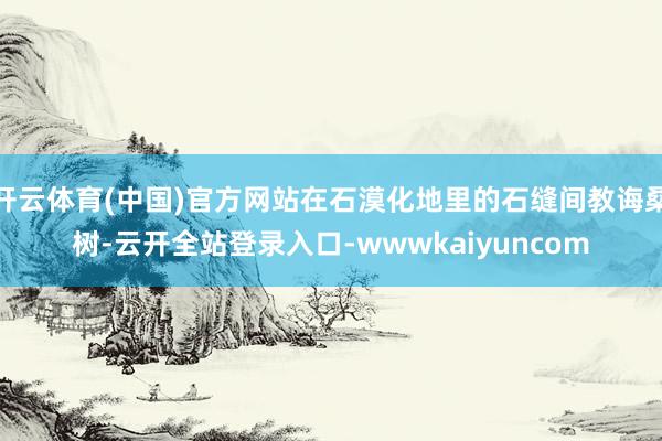 开云体育(中国)官方网站在石漠化地里的石缝间教诲桑树-云开全站登录入口-wwwkaiyuncom