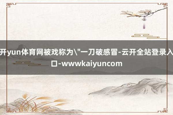 开yun体育网被戏称为